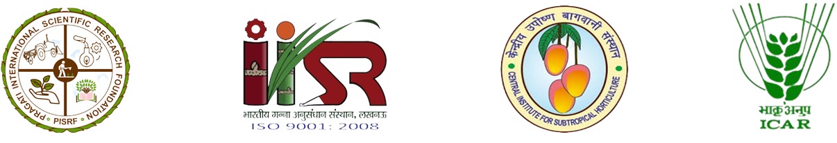 header Image ICNSFS-2024